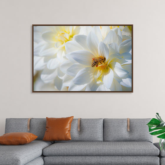 "A Bee Pollinates a Dahlias on Summer Dreams Farm", Preston Keres