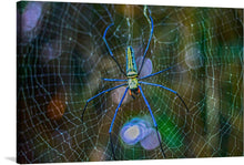  The “Nephila pilipes spider” artwork is a stunning digital print that captures the intricate beauty of nature. The artwork features a Nephila pilipes spider, centrally positioned on its intricate web. The spider has long, slender legs that are dark with bright blue joints, and its body is detailed with vibrant colors including yellow and blue patterns. 