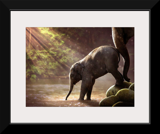 "Elephant by the Waterfall"