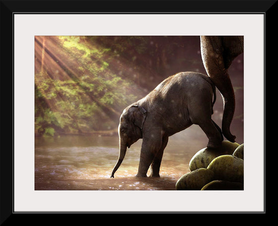 "Elephant by the Waterfall"