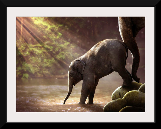 "Elephant by the Waterfall"