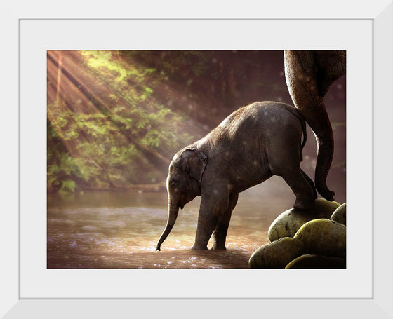 "Elephant by the Waterfall"