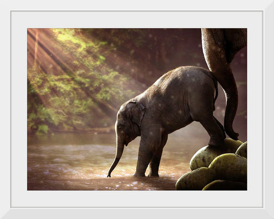 "Elephant by the Waterfall"