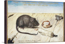  This exquisite artwork captures the delicate and intricate beauty of nature, featuring a meticulously detailed portrayal of mice in their natural habitat. The artist’s masterful technique breathes life into these small creatures, rendering them with an astonishing level of realism. As a print, this piece promises to bring an element of timeless elegance and natural serenity to any space it adorns.