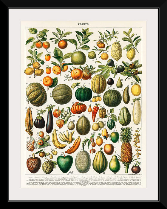 "Fruits", Nouveau Larousse Illustre (1898)