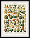 "Fruits", Nouveau Larousse Illustre (1898)