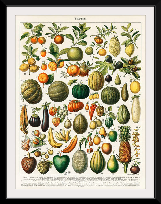 "Fruits", Nouveau Larousse Illustre (1898)