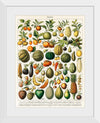 "Fruits", Nouveau Larousse Illustre (1898)