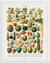 "Fruits", Nouveau Larousse Illustre (1898)