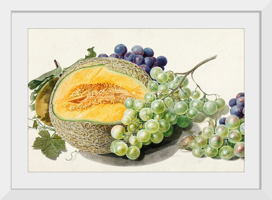 "Fruits (1714-1760)", Michiel van Huysum