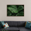 "Calathea Orbifolia Green Natural Leaves"