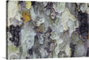 “Tree Bark Texture”: A mesmerizing glimpse into the ancient whispers of nature, this captivating print celebrates the rugged elegance of tree bark. Each crevice, knot, and weathered line tells a silent tale of resilience—a chronicle etched by time itself. The palette of earthy browns, muted greens, and subtle grays dances harmoniously, inviting you to explore the tactile landscape. 