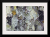 "Tree Bark Texture"