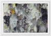 "Tree Bark Texture"