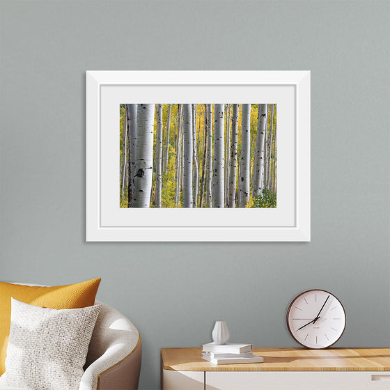 "Birch Grove in the Autumn"