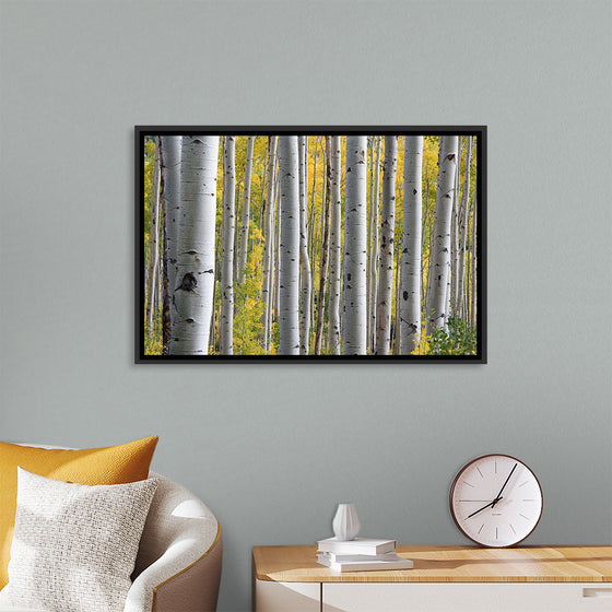 "Birch Grove in the Autumn"