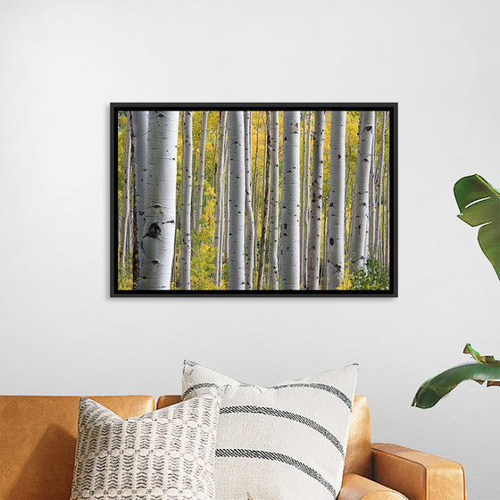 "Birch Grove in the Autumn"