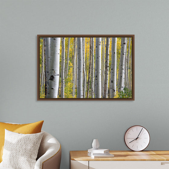 "Birch Grove in the Autumn"