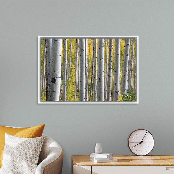 "Birch Grove in the Autumn"