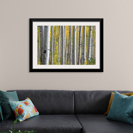 "Birch Grove in the Autumn"