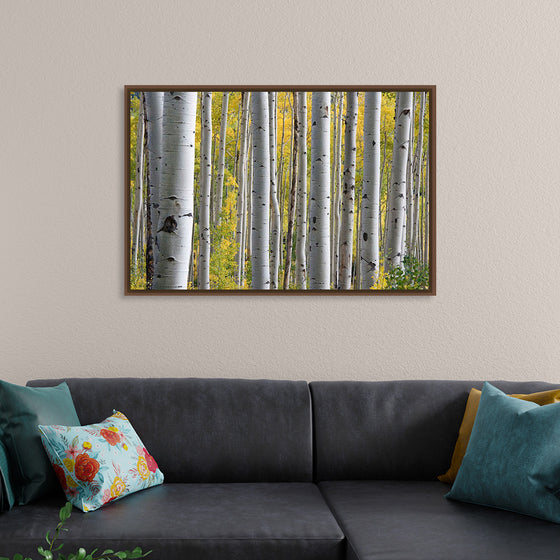 "Birch Grove in the Autumn"