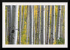 "Birch Grove in the Autumn"