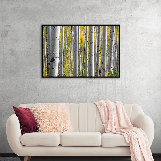 "Birch Grove in the Autumn"