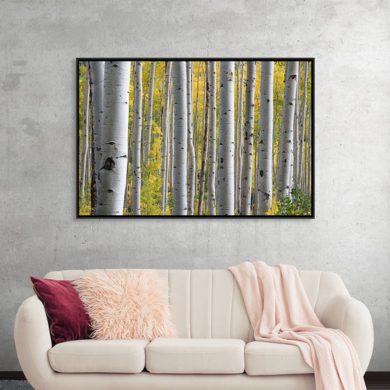 "Birch Grove in the Autumn"