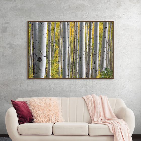 "Birch Grove in the Autumn"