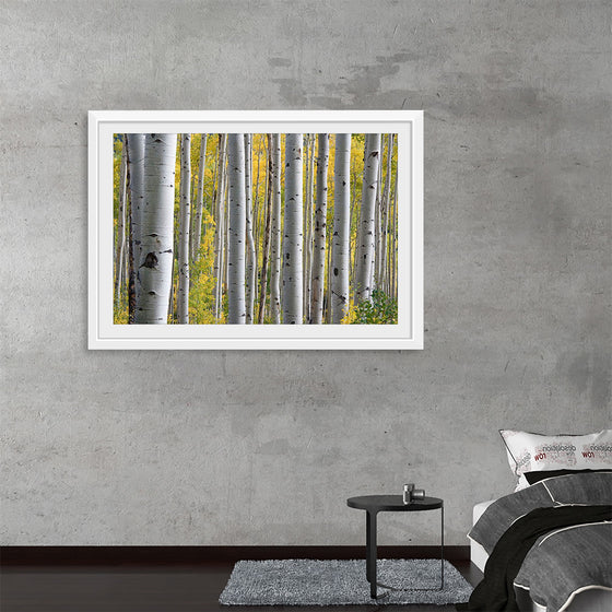 "Birch Grove in the Autumn"