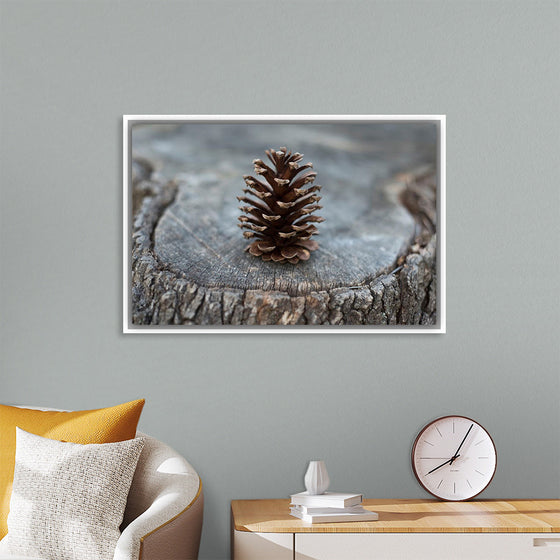 "Pine Cone"