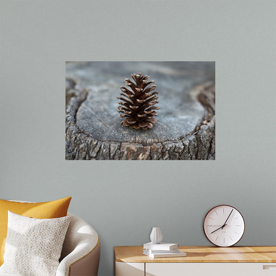 "Pine Cone"