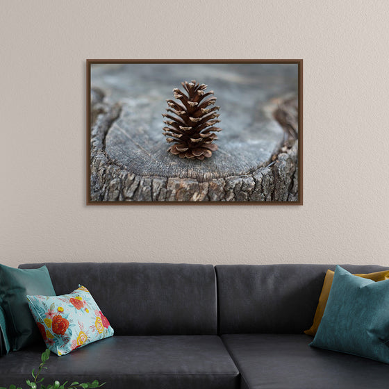 "Pine Cone"