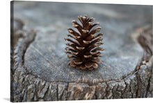  Immerse yourself in the serene beauty of nature with this exquisite print. A solitary pine cone, rich in detail and texture, stands majestically atop the rugged surface of an aged tree stump. Every intricate scale of the pine cone is captured with stunning clarity, a testament to the enduring elegance of nature’s design. The muted tones and natural textures evoke a sense of tranquility and reflection. 