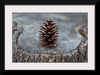 "Pine Cone"