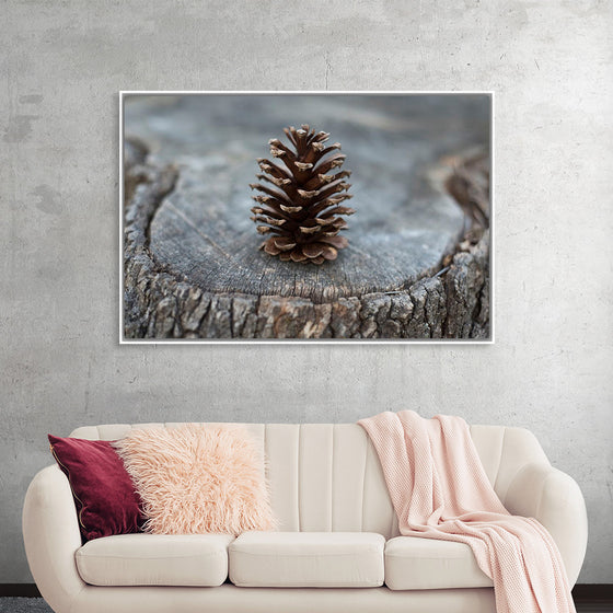 "Pine Cone"