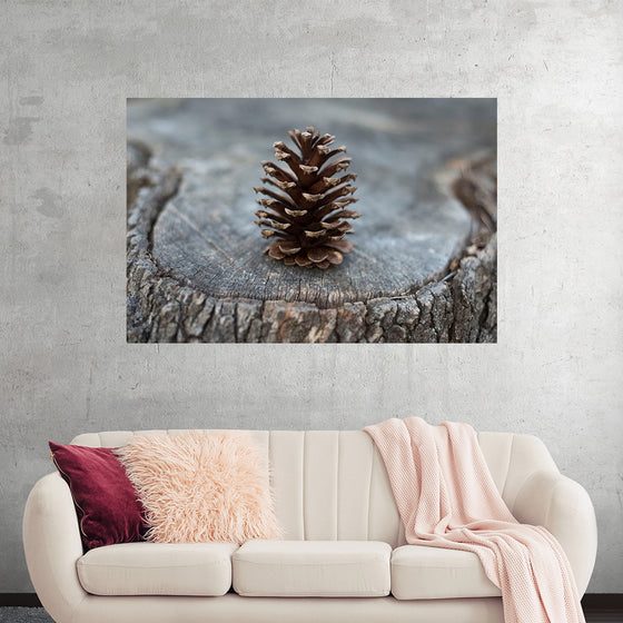 "Pine Cone"