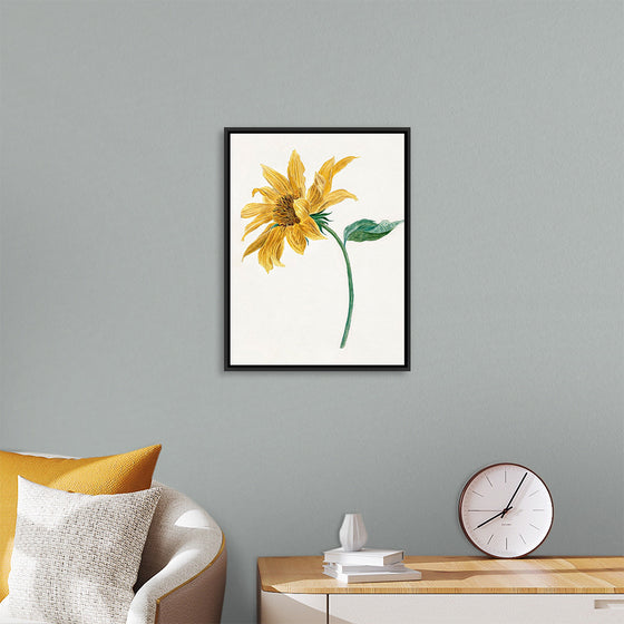 "Branch with a sunflower", Michiel van Huysum
