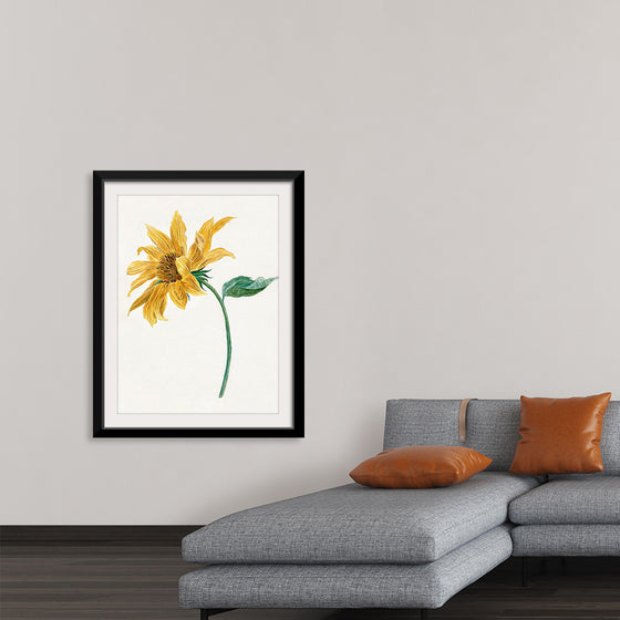 "Branch with a sunflower", Michiel van Huysum