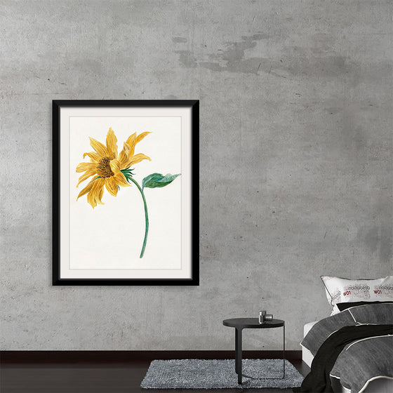 "Branch with a sunflower", Michiel van Huysum