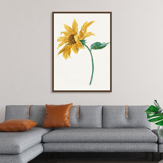 "Branch with a sunflower", Michiel van Huysum