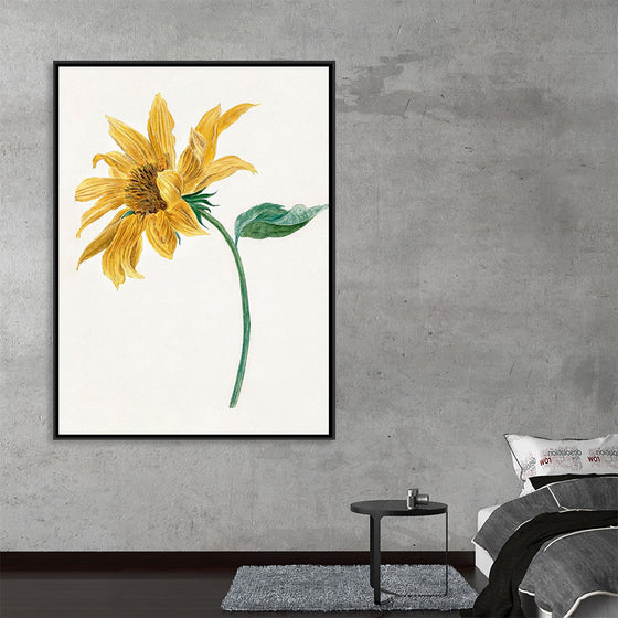 "Branch with a sunflower", Michiel van Huysum