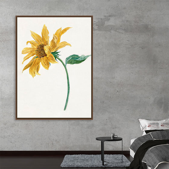 "Branch with a sunflower", Michiel van Huysum