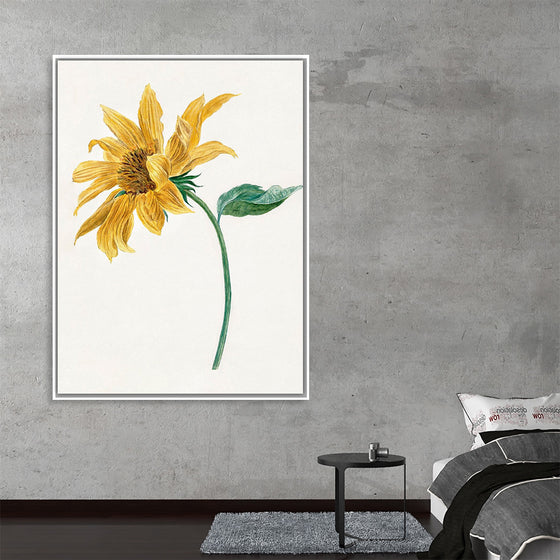 "Branch with a sunflower", Michiel van Huysum