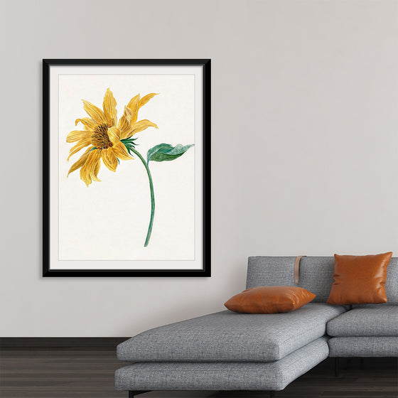 "Branch with a sunflower", Michiel van Huysum