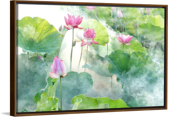 "Lotus summer"