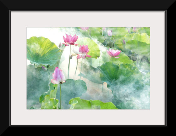 "Lotus summer"