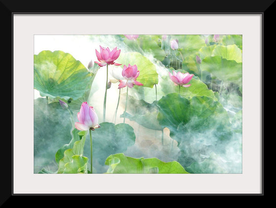 "Lotus summer"