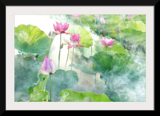 "Lotus summer"