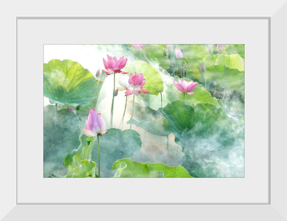 "Lotus summer"